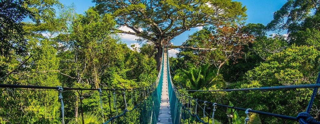 110671 tambopata