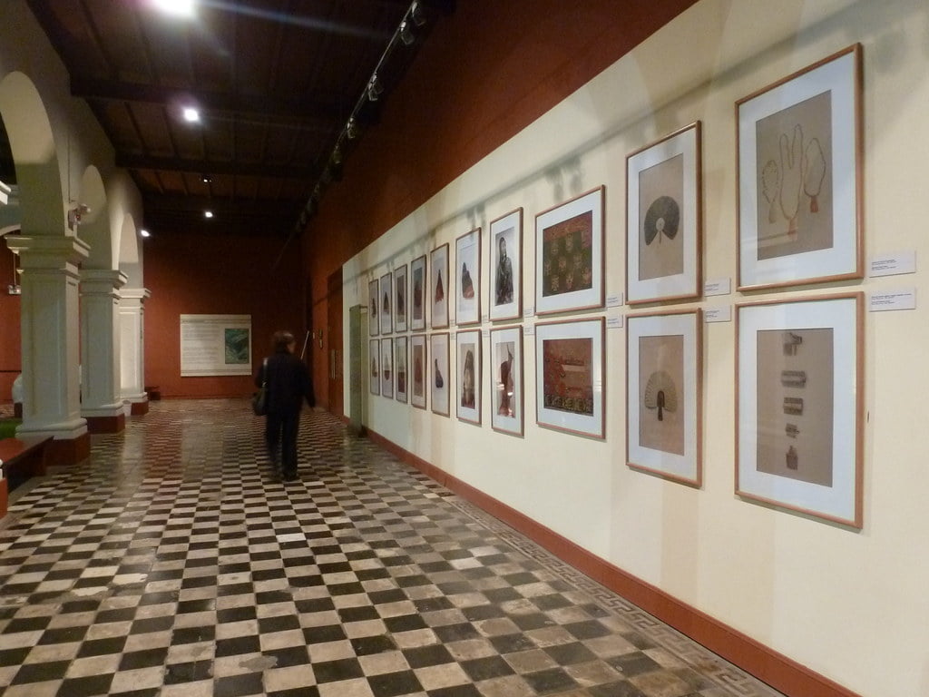 22629983305 edd82494c1 b