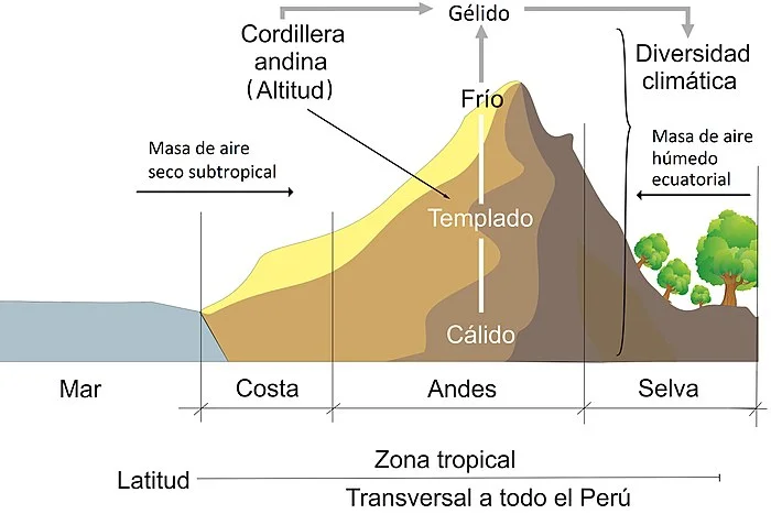 Diversificacion climatica del Peru por la cordillera andina