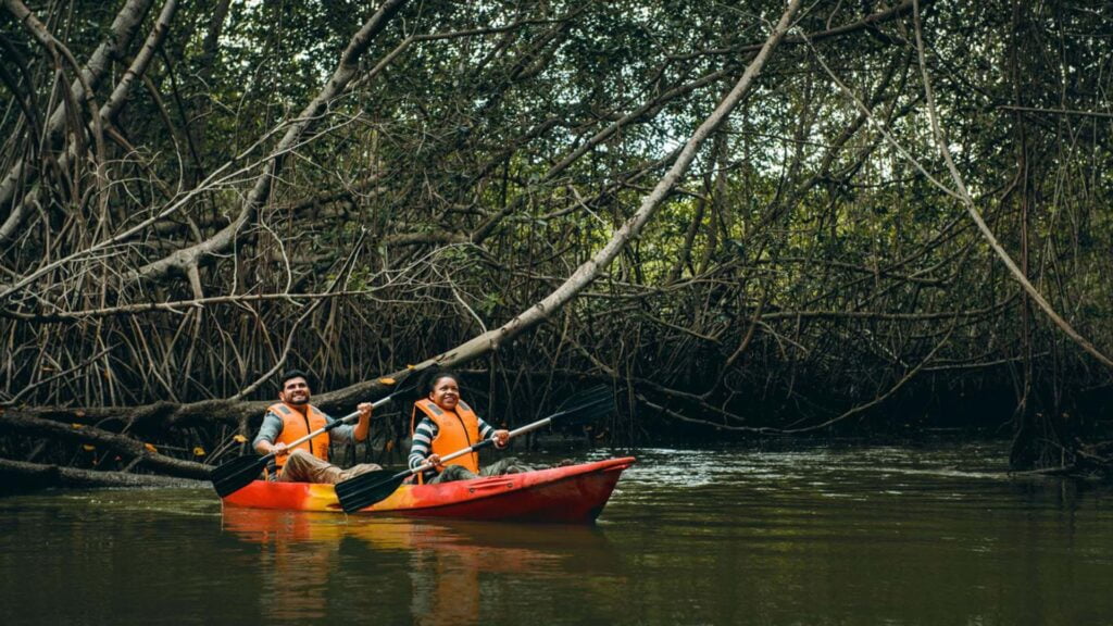 Manglares Tumbes