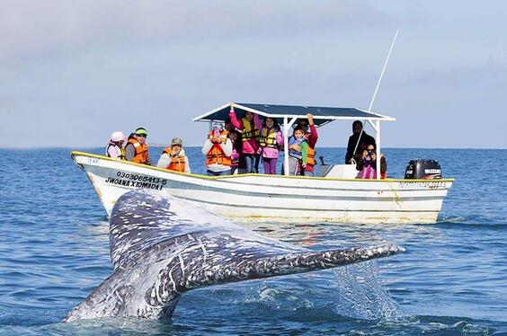 Punta sal mancora manglares 1