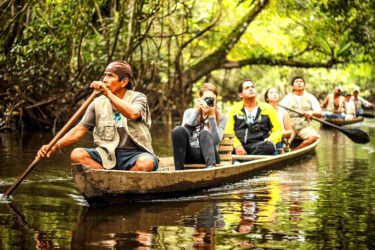 Explorando la biodiversidad de Pacaya Samiria: Una reserva natural en la selva del Perú
