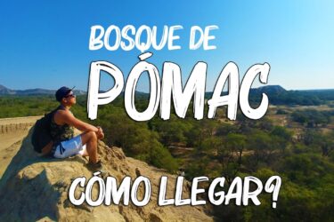 Bosque de Pómac: Biodiversidad, Historia y Cultura en el Norte del Perú