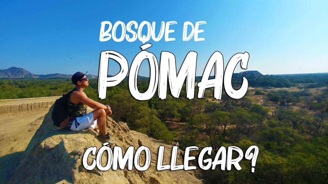 Bosque de Pómac: Biodiversidad, Historia y Cultura en el Norte del Perú