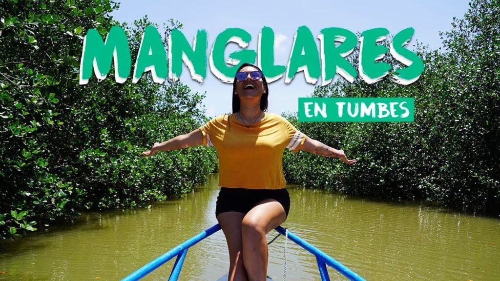 Manglares de Tumbes: guía completa de historia, biodiversidad y cómo visitarlos