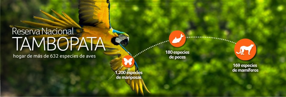 reserva nacional de tambopata
