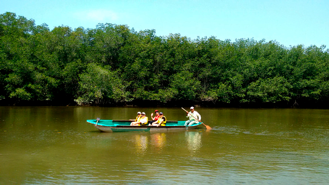 santuario nacional los manglares