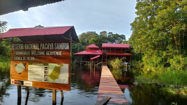 standard WhatsApp Image 2021 05 04 at 15.39.21.jpeg