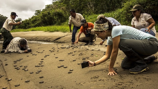 standard turismo pacaya.jpg