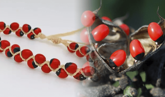 632893d61dfccc39d33fdd9f