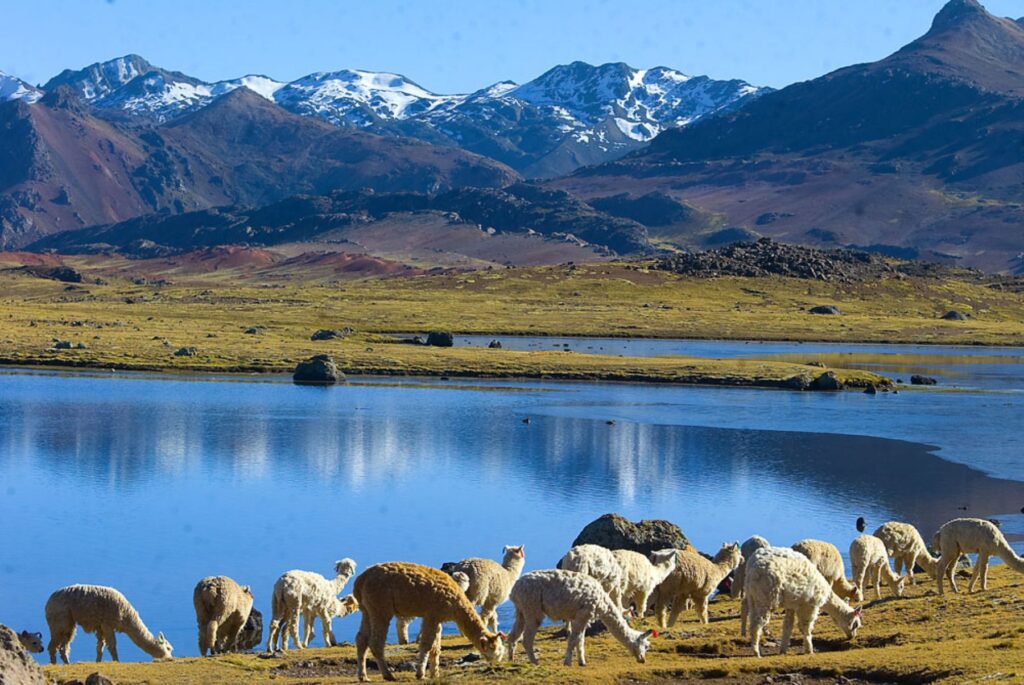 Laguna Choclococha