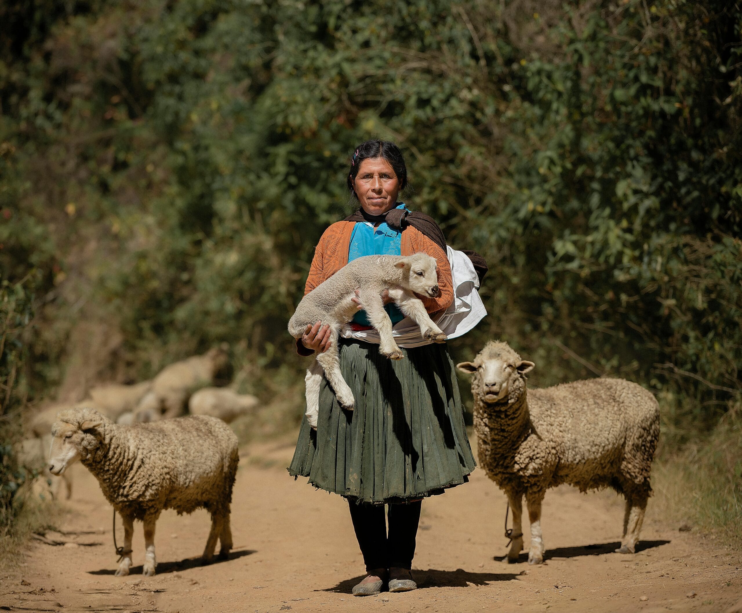 Huánuco: historia viva, clima perfecto y conexión entre sierra y selva
